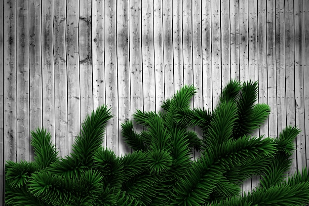 Branches de sapin sur des planches de bois