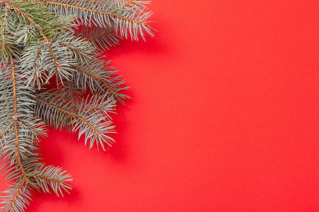 Branches de sapin vert sur fond de Noël rouge