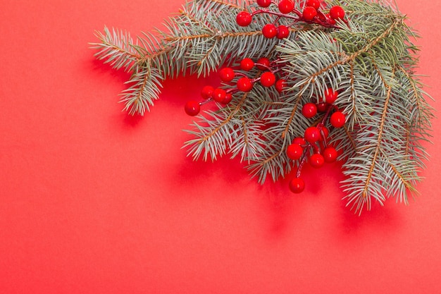 Branches de sapin vert sur fond de Noël rouge