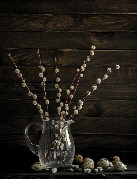 Branches d'un saule à fleurs se tiennent dans un bocal en verre foncé sur un fond