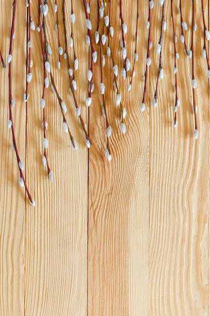 Branches de saule sur le fond d'une surface en bois prise d'en haut.