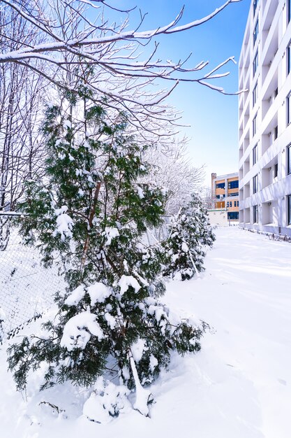 Les branches sont pleines de neige