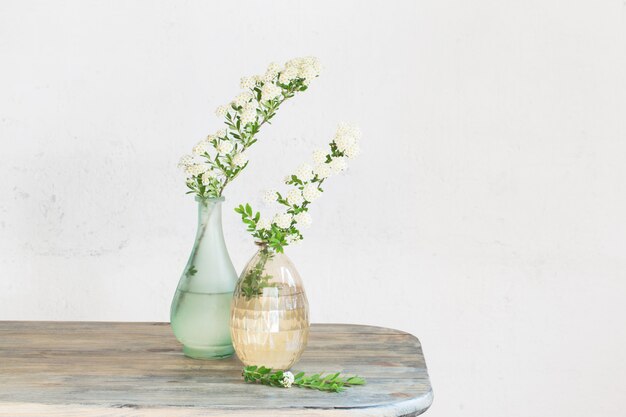 Branches de spirée dans des vases sur vintage de vieux mur