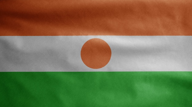 Brandir le drapeau nigérien sur le vent. Bannière du Niger soufflant de la soie lisse. Enseigne de texture de tissu en tissu