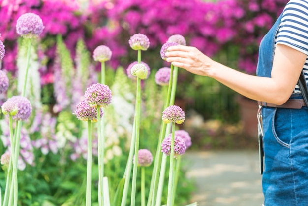 Le bras d&#39;une fille atteignant une fleur