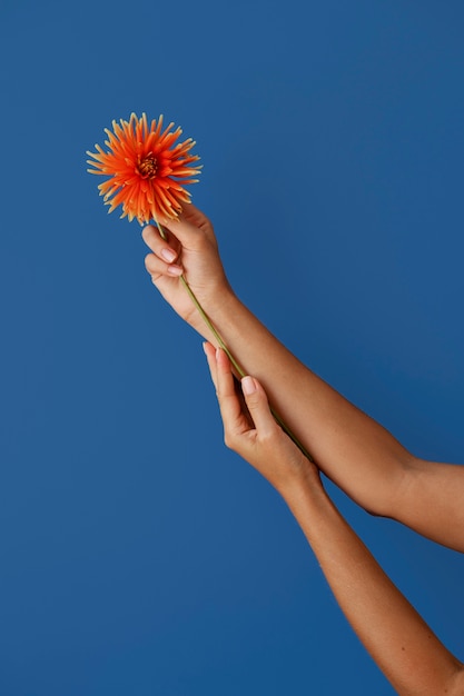 Photo bras de vue de côté avec une belle fleur