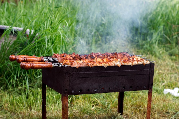 Brasero avec un shish kebab sur la nature