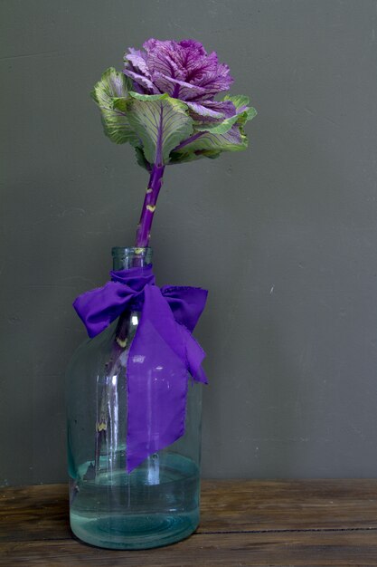 Brassica Oleracea Capitata ou chou décoratif dans un vase en verre avec un ruban violet sur fond gris, carte de voeux ou concept