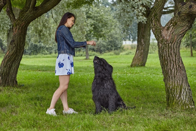 Briard est formé par son propriétaire lors de ses promenades dans un parc public.