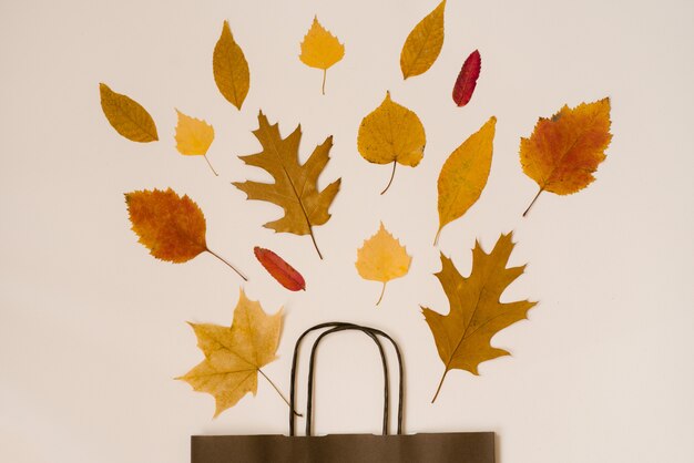 Brillant bouquet d'automne feuilles tombées dans un sac en papier cadeau marron