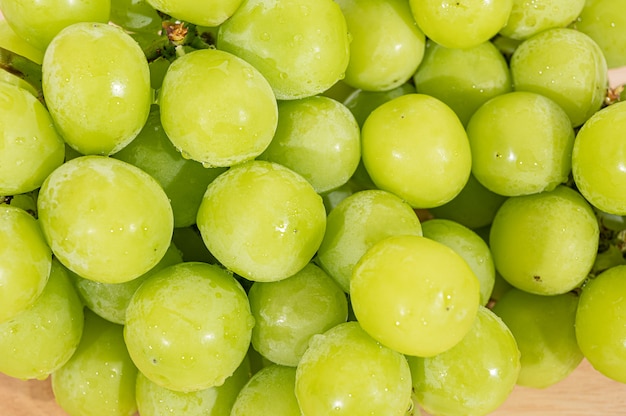 Briller le raisin muscat isolé sur fond blanc.
