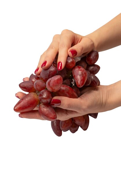 Un brin de raisin rouge dans les mains d'une femme avec du vernis à ongles rouge isolé sur fond blanc