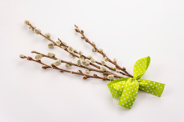 Brin De Saule Isolé Sur Fond Blanc. Phoques Saules, Bourgeons Moelleux. Concept De Joyeuses Pâques