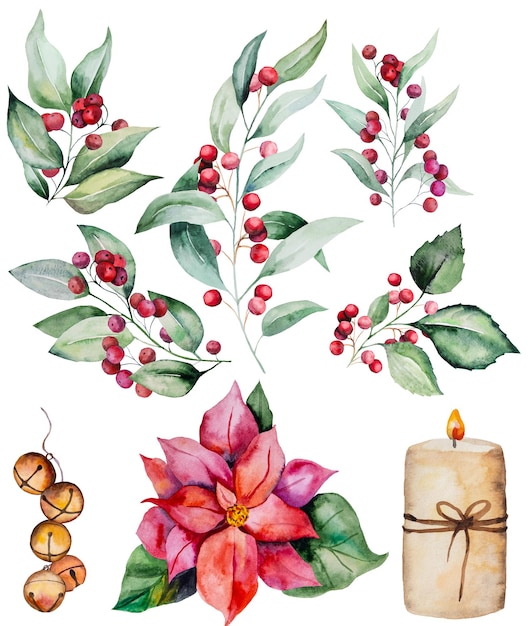 Brindilles d'aquarelle de Noël avec des feuilles vertes et des cloches de baies rouges et fleur de Poinsettia