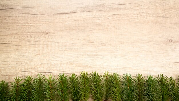 Photo brindilles d'épinette sur châssis en bois