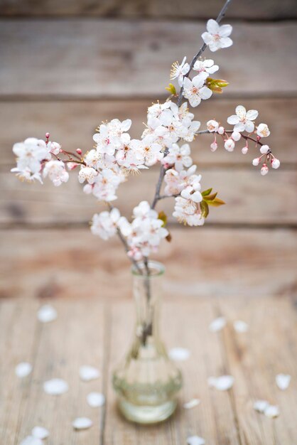 Brindilles à fleurs blanches dans un vase
