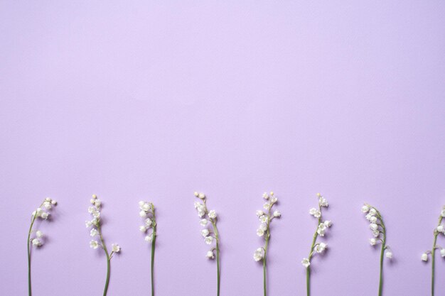 Des brindilles de fleurs de muguet se trouvent sur un fond lilas