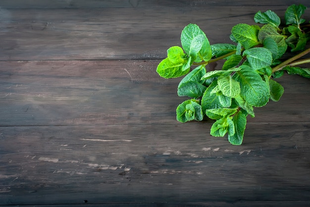 Brins de menthe fraîche bio sur la table en bois