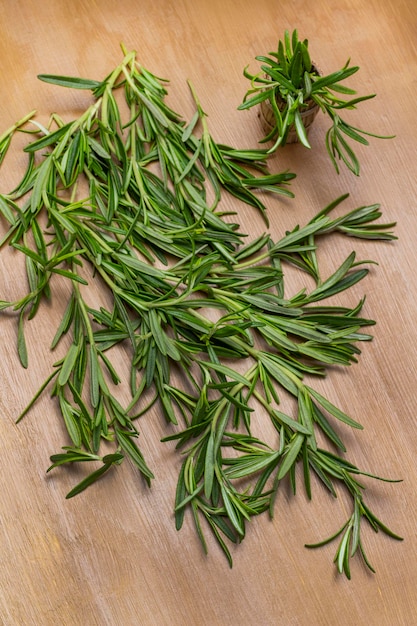 Brins de romarin vert sur fond marron