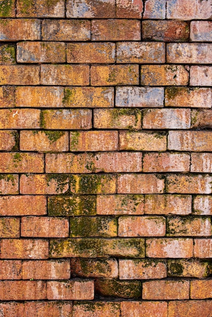 Briques d'argile sur un mur avec des fissures de mousse et de la peinture bleue Fond de texture d'argile vectorielle