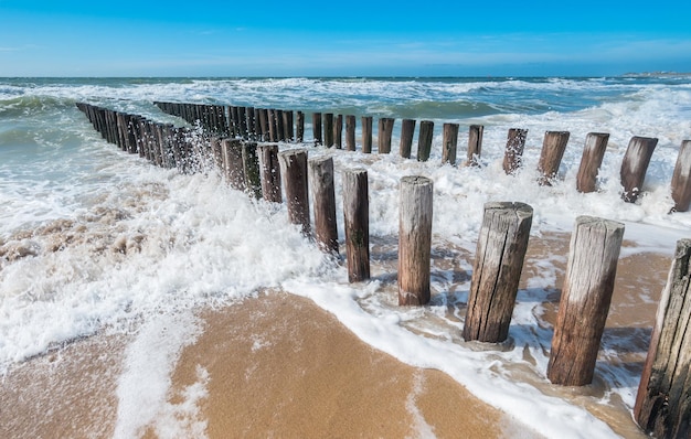 Brise-lames avec des vagues sur la plage de la mer du Nord