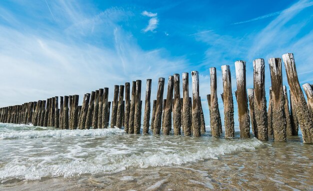 Brise-vagues en bois sur la plage de Domburg, Pays-Bas