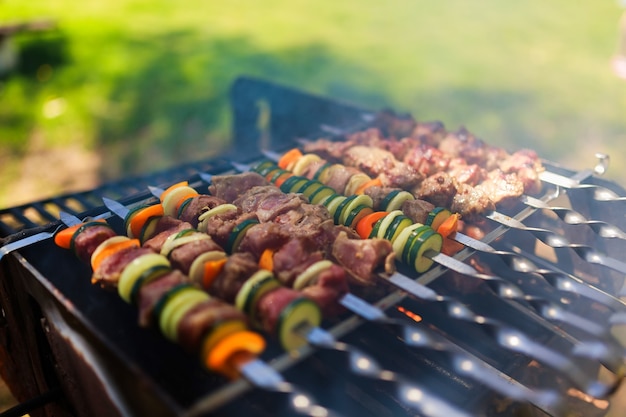 Brochettes de viande et de légumes sur le gril dans la nature