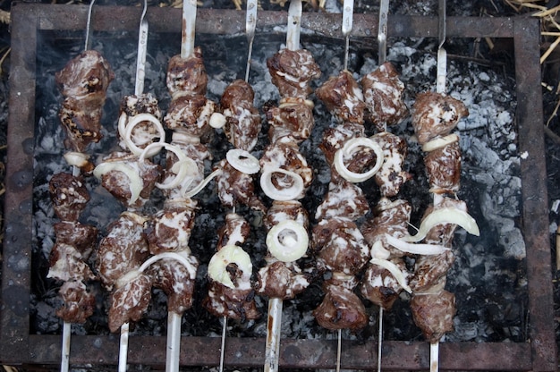 Brochettes de viande de porc et de boeuf sur le gril