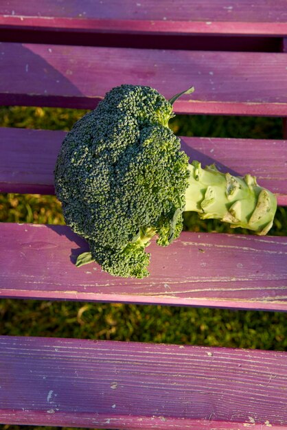 Photo le brocoli sur le banc