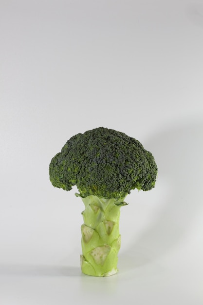 Brocoli, Brassica oleracea, sur fond blanc.