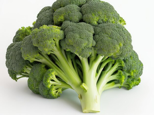 Brocoli sur un fond blanc IA générative