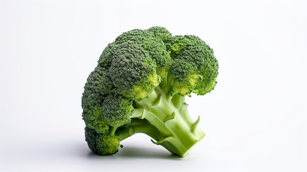 Un brocoli sur un fond blanc