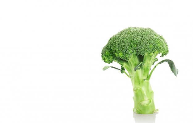 Brocoli sur fond blanc