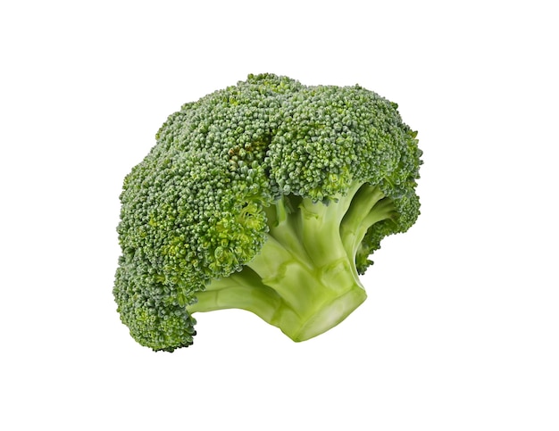 Brocoli sur fond blanc