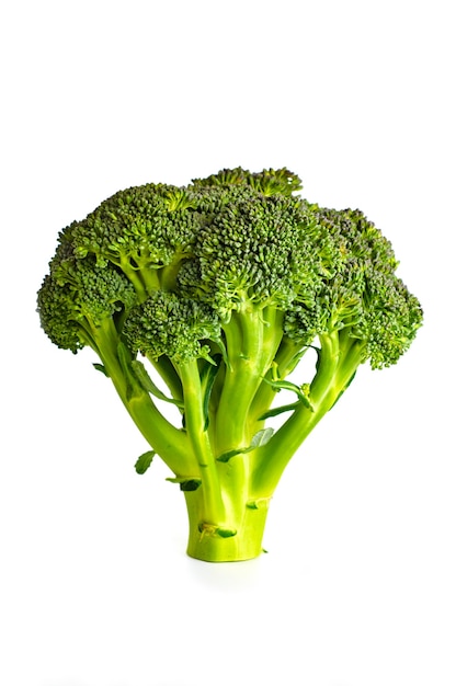 Brocoli frais sur fond blanc