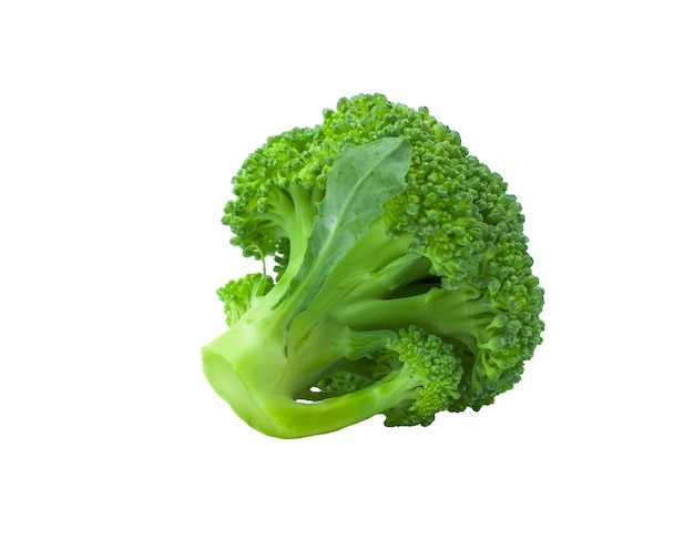 Brocoli frais isolé sur fond blanc libre