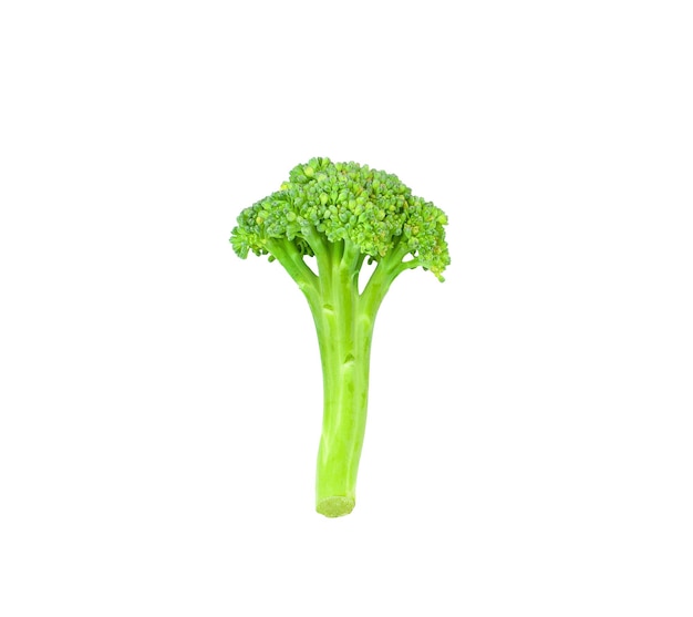 Brocoli frais isolé sur fond blanc