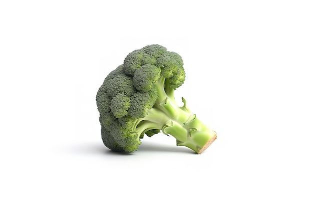 Brocoli frais isolé sur fond blanc