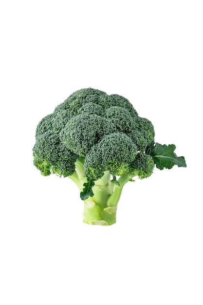 Brocoli frais isolé sur fond transparent Chou brocoli cru entier pour la conception