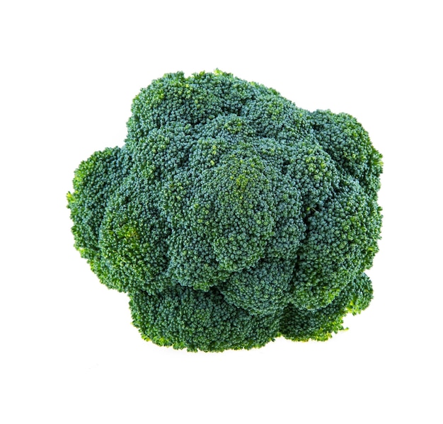 Brocoli frais