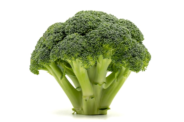 Brocoli isolé sur fond blanc Clipping Path Pleine profondeur de champ Brocoli frais bio bouchent