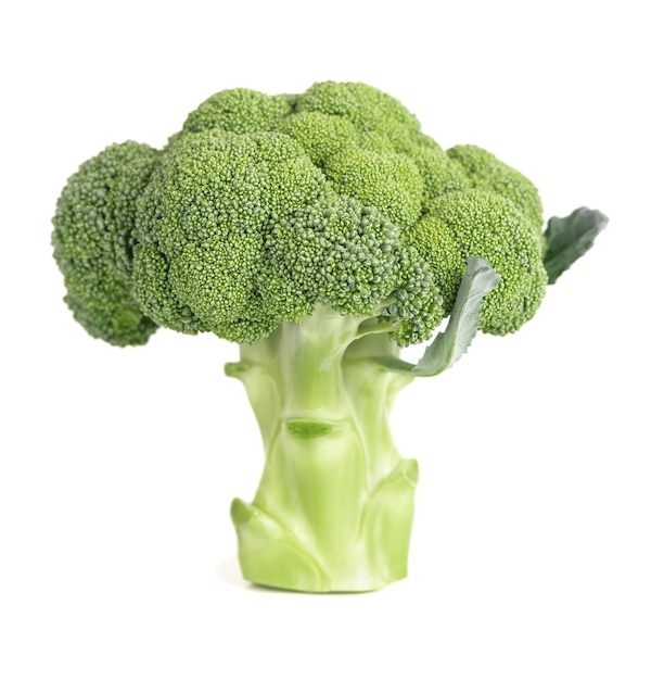 Brocoli isolé sur fond blanc. Légume de brocoli vert cru. Fermer.