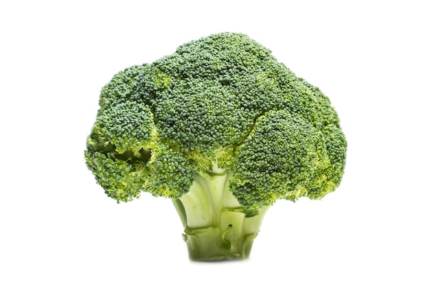 Brocoli isolé sur fond blanc