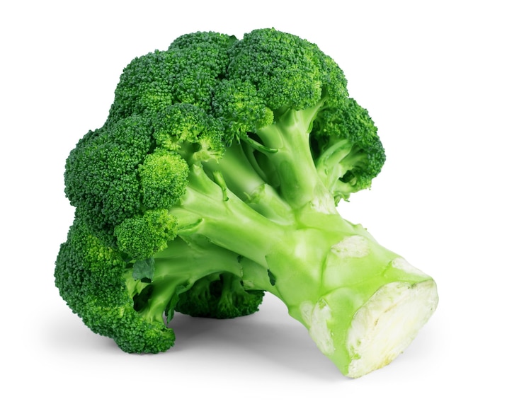 Photo brocoli isolé sur fond blanc