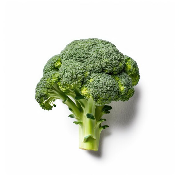 brocoli Légumes isolés sur fond blanc