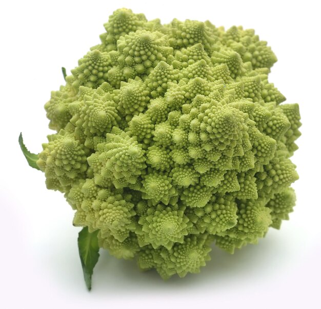 Brocoli romanesco sur fond blanc