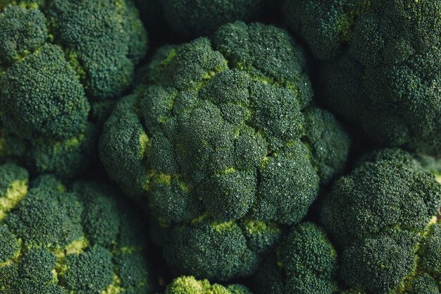 Brocoli vert frais