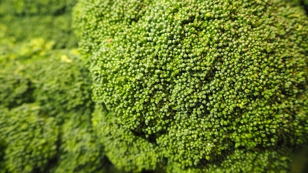 Brocoli