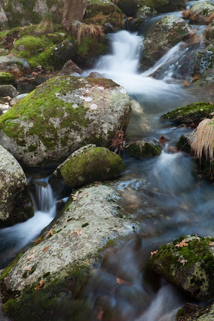 Brook et gros rochers avec de la mousse