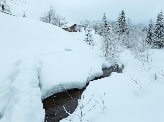 Brook en hiver Carpates